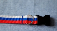 Kako napraviti streljivo za mačku to učiniti sami